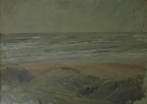 Aussicht von den Dünen über die Nordsee