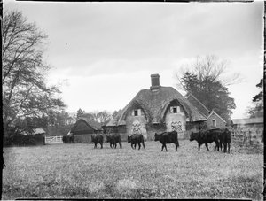 Great Hampden, Great And Little Hampden, Wycombe, Buckinghamshire von Katherine Jean Macfee