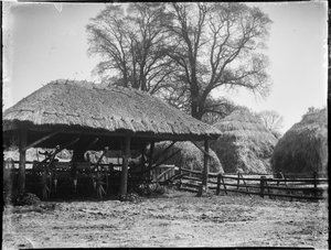 Little Kimble, Great And Little Kimble, Wycombe, Buckinghamshire von Katherine Jean Macfee