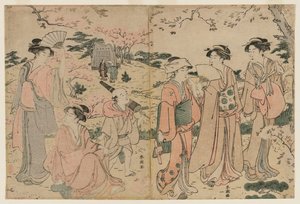 Frauen betrachten Kirschblüten in Asukayama