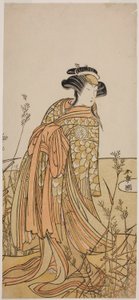 Der Schauspieler Segawa Kikunojo III als Geist einer Mandarinente (Oshidori) verkleidet als Tagasode, im Stück Hana-zumo Genji Hiiki, aufgeführt im Nakamura-Theater im elften Monat, 1775