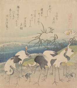 Ashi-Muschel, aus der Serie Genroku Kasen Kai-awase, 1821 von Katsushika Hokusai