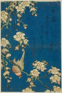 Gimpel und Trauerkirsche, aus einer unbetitelten Serie von Blumen und Vögeln von Katsushika Hokusai