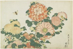 Chrysanthemen und Pferdefliege, um 1832