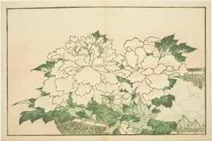 Chrysanthemen in einem Korb, aus Das Bilderbuch der realistischen Gemälde von Hokusai (Hokusai shashin gafu) von Katsushika Hokusai