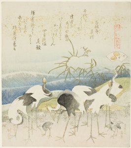 Kraniche am Ufer, Illustration für Die Beinmuschel (Ashigai), aus der Serie „Ein Zuordnungsspiel mit Gedichtmuscheln aus der Genroku-Zeit (Genroku kasen kai awase)“