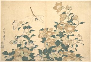 Libelle und Glockenblume von Katsushika Hokusai