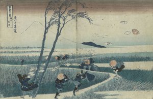 Ejiri in der Provinz Suruga aus der Serie Sechsunddreißig Ansichten des Berges Fuji, ca. 1830 von Katsushika Hokusai