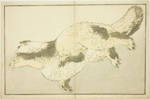 Fuchs, aus dem Bilderbuch der realistischen Malereien von Hokusai