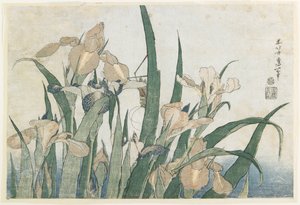 Irisblumen und Heuschrecke, ca. 1830-31