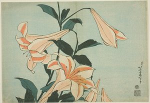 Lilien, aus einer unbetitelten Serie von großen Blumen von Katsushika Hokusai