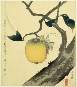 Mond, Persimone und Grashüpfer, 1807 von Katsushika Hokusai