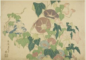 Morgenröte und Baumfrosch, aus einer unbetitelten Serie von großen Blumen von Katsushika Hokusai