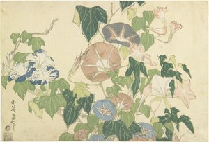 Morgenruhm und Baumfrosch, aus der unbetitelten Serie bekannt als Große Blumen, ca. 1833-34 von Katsushika Hokusai