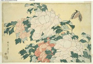 Pfingstrosen und Schmetterling, aus einer unbetitelten Serie großer Blumen