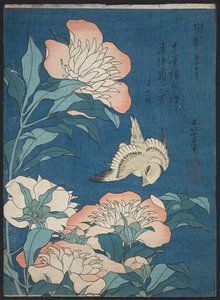 Pfingstrosen und Kanarienvogel (Shakuyaku, kanaari), aus einer unbetitelten Serie bekannt als Kleine Blumen