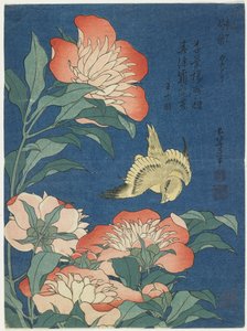 Pfingstrosen und Kanarienvogel, ca. 1833 von Katsushika Hokusai