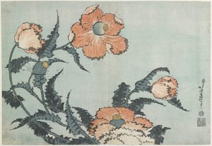 Mohnblumen, ca. 1832