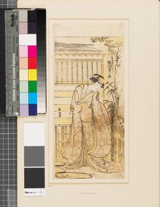Segawa Kikinojō vor einem Haus als Hoso-ya Kurtisane