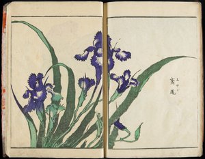 Die Seele übertragen und die Form der Dinge offenbaren: Hokusais Garten der Bilder, Bd. 1 komplett von Katsushika Hokusai