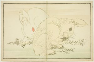 Zwei Kaninchen, aus dem Bilderbuch der realistischen Malereien von Hokusai (Hokusai shashin gafu) von Katsushika Hokusai
