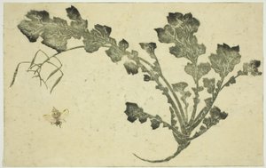 Wespe und Rübenstiel, aus "Das Bilderbuch der realistischen Malereien von Hokusai" von Katsushika Hokusai
