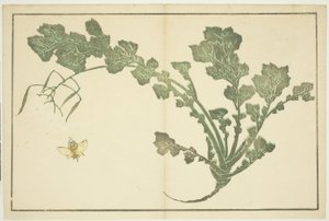 Wespe und Rübenstängel, aus "Das Bilderbuch der realistischen Malereien von Hokusai" von Katsushika Hokusai