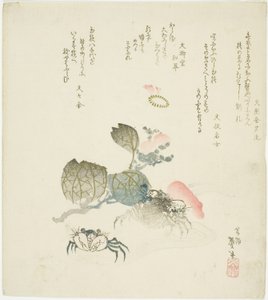 Zwei Krabben bei einem Kamelienzweig von Katsushika Taito II