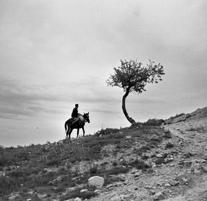 Bauer kehrt von den Feldern zurück, reitet auf einem Maultier, und das Profil hebt sich gegen den Himmel ab; trotz des Mannes reitet er im Damensitz von Alec Hunter