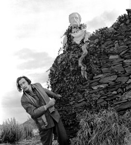 Salvador Dali in Port Lligat, November 1957 von Alec Hunter