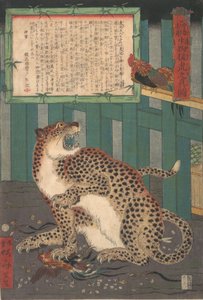 Nie zuvor gesehen: Wahres Bild eines lebenden wilden Tigers..., sechster Monat 1860 von Kawanabe Kyosai