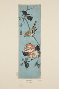 Spatz und Kamelie (Farbholzschnitt)