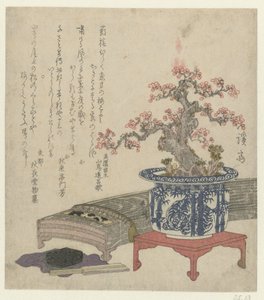 Koto mit Pflaumenblüte im Topf von Keisai Eisen