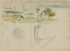 Küstenlandschaft von Kellogg, Miner Kilbourne