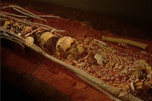 Archäologie; Hominide; Hominin; Menschliche Evolution - Homo sapiens sapiens; Menschliche Evolution; Eiszeit, 2000 (Foto)