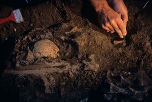 Dmanisi, Georgien, David Lordkipanidze, Homo Erectus
