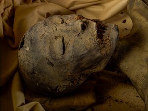 Mumie von König Tuts Mutter (bekannt als die Jüngere Dame)