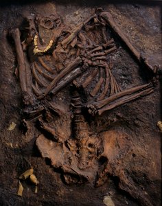 Neandertaler, bemalte Nachbildung, Kebara-Höhle, Berg Karmel, "Moshe", ca. 60.000 v. Chr., Israel