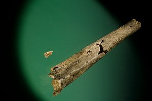 Schienbein und untere Schneidezähne, Boxgrove, England, 500000 BP, Homo Heidelbergensis Fossilien
