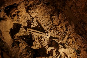 Tal der Könige; Skelett eines erwachsenen Mannes gefunden in Kammer 2 von KV 5; Nahe Luxor; Ägypten