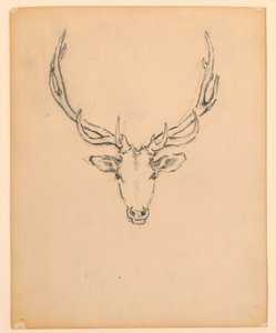 Studie eines Hirschkopfes von Kenyon Cox