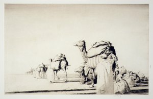 Wüstenfracht von Kerr Eby