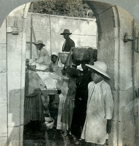 Frischer Kakao aus den Schoten, Dominica, B.W.I.
