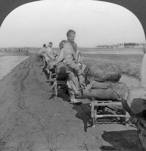 Salztransport ins Landesinnere mit Schubkarren, China, 1907 von Keystone View Company