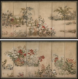 Blumen und Gräser