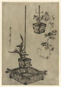 Anordnungen von Schwertlilien und Prunkwinden von Kitagawa Utamaro