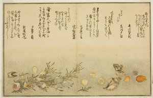 Beni-gai, hora-gai, urauzu-gai, wasure-gai, chiyonohana-gai und masuho-gai, aus dem illustrierten Buch "Geschenke von der Ebbe" von Kitagawa Utamaro