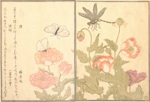 Schmetterling Cho, Libelle Kagero oder Tonbo, 1788