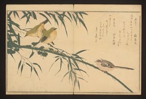 Schwanzmeise und Weißauge von Kitagawa Utamaro