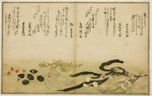 Minashi-gai, shio-gai, katatsu-gai, miso-gai, chijimi-gai und chigusa-gai, aus dem illustrierten Buch "Geschenke von der Ebbe (Shiohi no tsuto)" von Kitagawa Utamaro